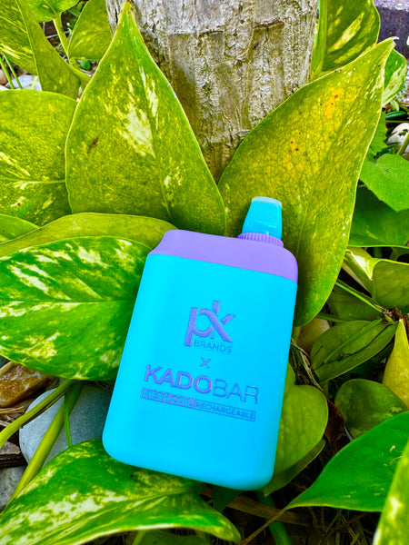 The image shows a bright blue disposable vape with a purple top, placed against a natural backdrop of green leaves with yellow variegation and a tree trunk with textured bark. The vape features branding with the text "KADOBAR" and the phrase "MESHCOTTON RECHARGEABLE" in pink lettering, along with a symbol that appears to be a logo. The outdoor setting is well-lit, accentuating the contrast between the artificial colors of the vape and the organic greens and yellows of the foliage.