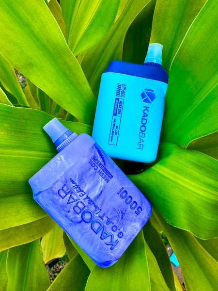 The image shows two disposable vapes, one translucent blue and the other solid blue, resting on the broad leaves of a green plant. The translucent blue vape is positioned at an angle and appears slightly crumpled, emphasizing its use, while the solid blue vape is placed upright. Both vapes are branded with "KADOBAR" and have text indicating their features: "MESH COIL," "8000 PUFFS," and one with the flavor "BLUEBERRY BUBBLEGUM". The vibrant green leaves provide a natural background with their radiating pattern and the lighting seems to be natural, casting a bright hue over the entire scene.