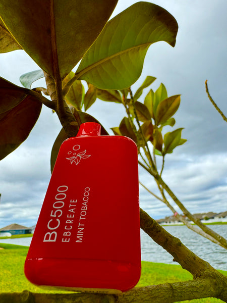 The image shows a close-up of a red disposable vape pod with white text that reads "BC5000 EBCREATE MINT TOBACCO" attached to a tree branch. The background is blurred, but a body of water and the overcast sky are visible, suggesting an outdoor setting. The focus on the pod, along with the natural elements, creates a contrast between the man-made object and the organic surroundings.