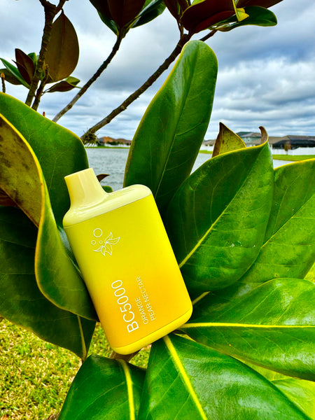 An image showcasing a lemon-yellow disposable vape pod, with black lettering that reads "BC5000 DRAGON CAT PEAR NECTAR," nestled among large, waxy green leaves of a tree. The background is composed of a grey, cloud-filled sky and a calm lake, creating an outdoor scene that contrasts the bright yellow of the vape against the natural environment.