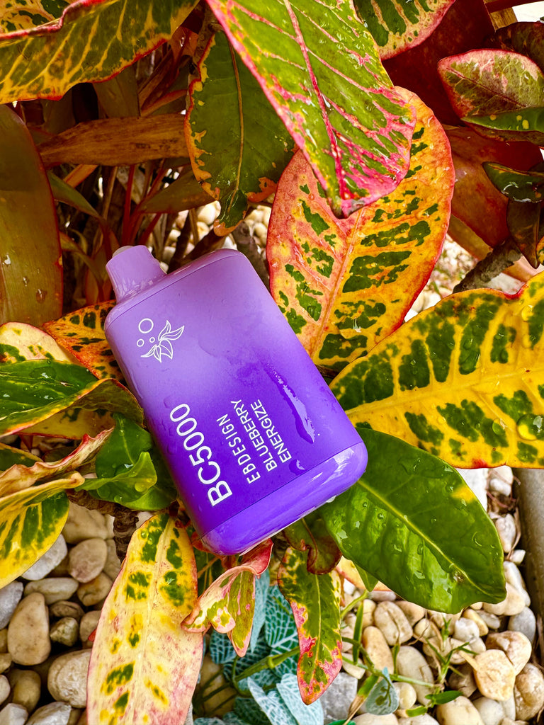 The image features a purple disposable vape pen with the text "BC5000 EBDESIGN BLUEBERRY ENERGIZE" lying diagonally among a vibrant array of wet, multicolored leaves with green, yellow, and red blotches, suggestive of a croton plant. The ground is covered with small pebbles, providing a neutral background that contrasts with the bright colors of the leaves and the vape pen. The leaves are glossy, indicating they have been recently watered or exposed to rain, and they frame the vape pen, drawing attention to its vivid purple hue.