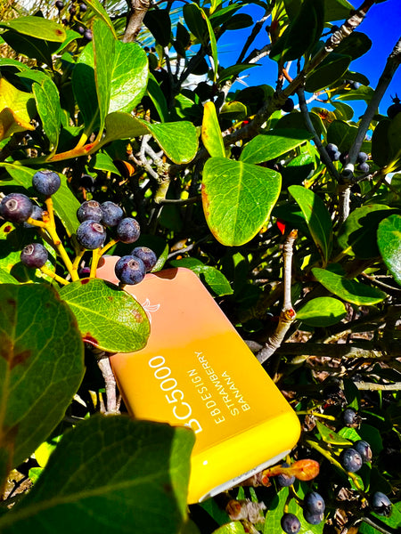 An image depicting a bright yellow disposable vape device, marked with "C5000 EDGESIGN LOST MARY STRAWBERRY BANANA" in black lettering. The device is resting amidst a natural setting of dark green leaves and clusters of ripe, blue-black berries, which could be blueberries. The backdrop is a clear blue sky, and the foliage is bathed in bright sunlight, creating a vivid contrast between the yellow of the vape, the green leaves, and the dark berries. The scene suggests a sunny, outdoor environment.