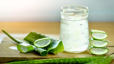 Aloe Vera uses for skin and hair