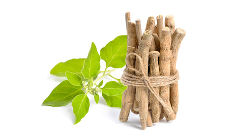 Ashwagandha - Uses, Benefits and Side Effects