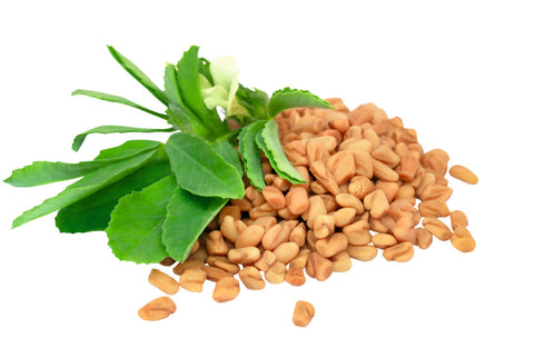 Fenugreek Seeds - Uses and benefits for skin care