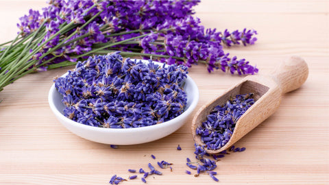 Uses and Benefits of Lavender Flower Oil