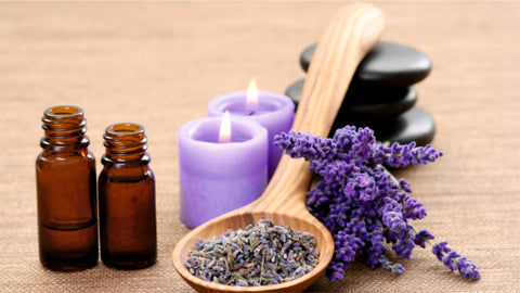 Uses of Lavender Flower Oil