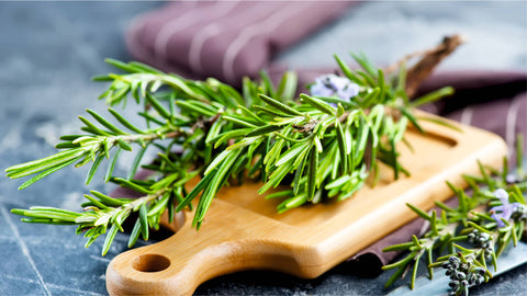 Uses of Rosemary Leaf in Skincare