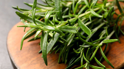 Uses and Benefits of Rosemary Leaf in Skincare