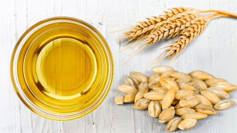 Wheat Seed Oil uses