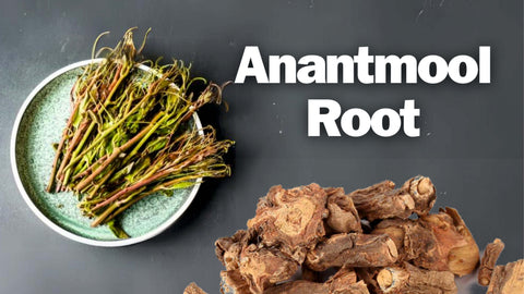 Anantmool Root