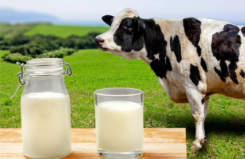 cow milk uses for skin care
