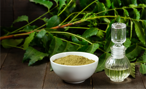 "The Magic of Neem Leaves: 7 Incredible Benefits for Glowing and Beautiful Skin"