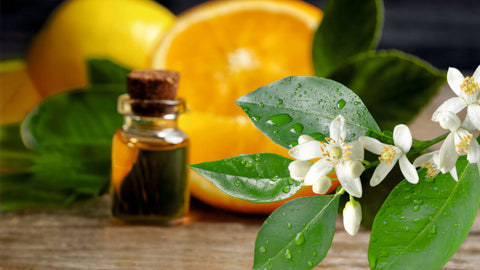 neroli benefits