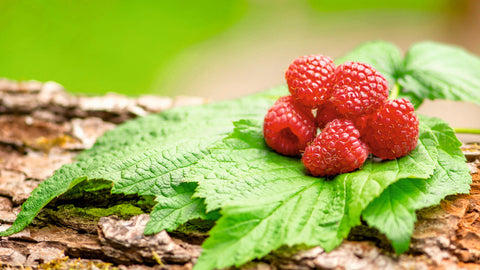 Raspberry Benefits