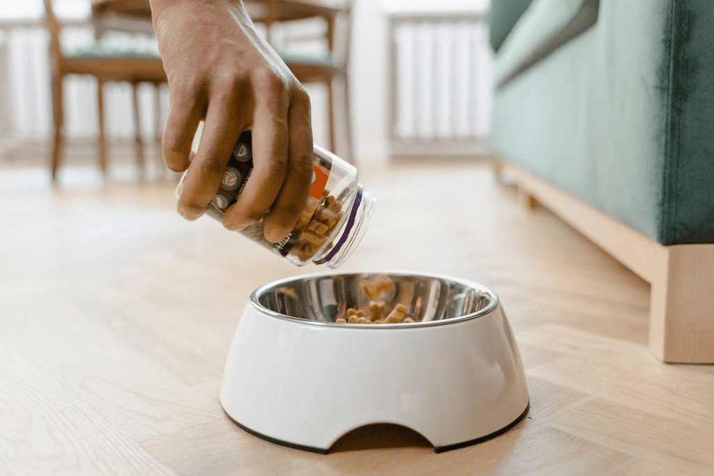 Pouring canned dog food into dish