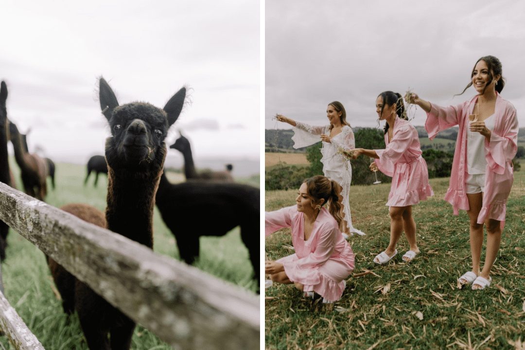 Modern Pronovias Oberon Bride Byron Bay