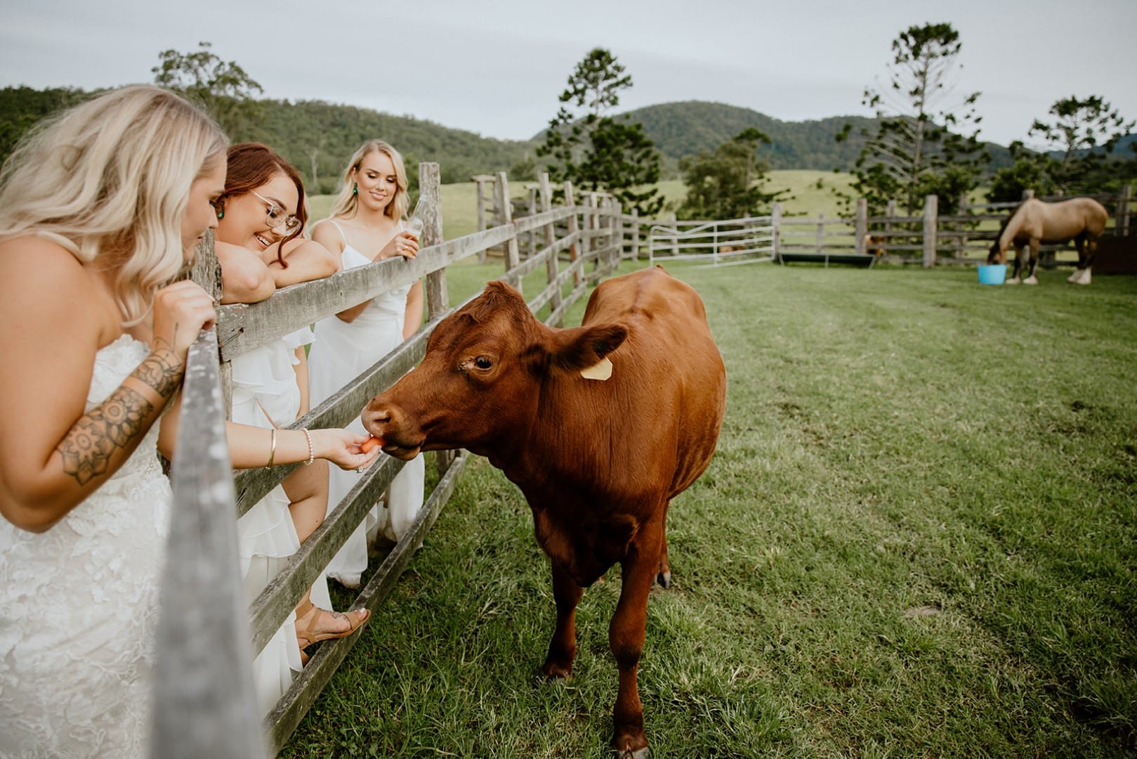 Cowbell Creek Pronovias Real Bride Rustic Country Wedding