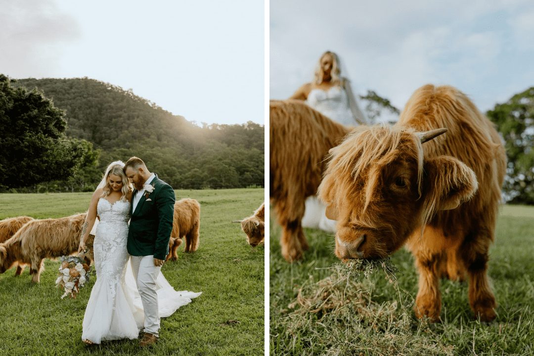 Cowbell Creek Pronovias Real Bride Rustic Country Wedding