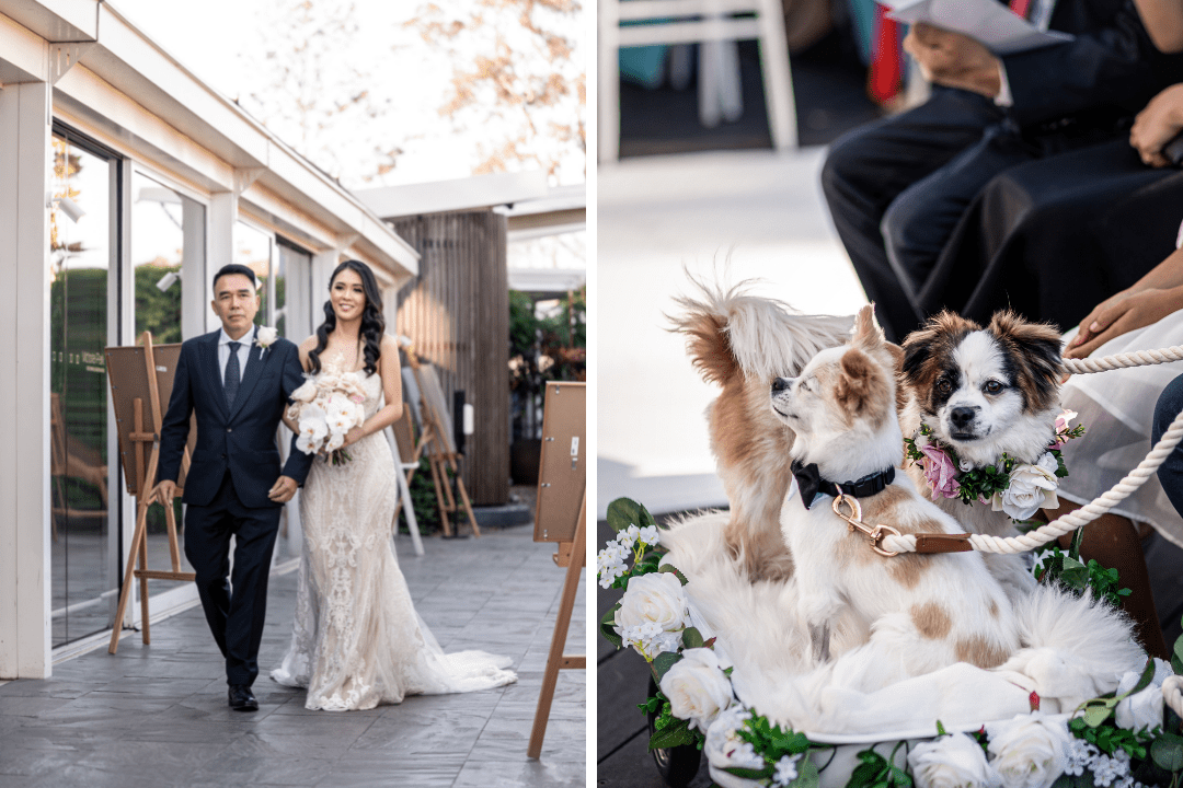 Vietnamese luxurious wedding at victoria park brisbane