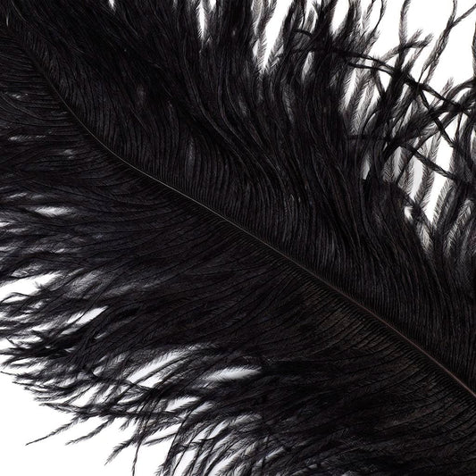 Black Ostrich Feathers (24 Piece(s))