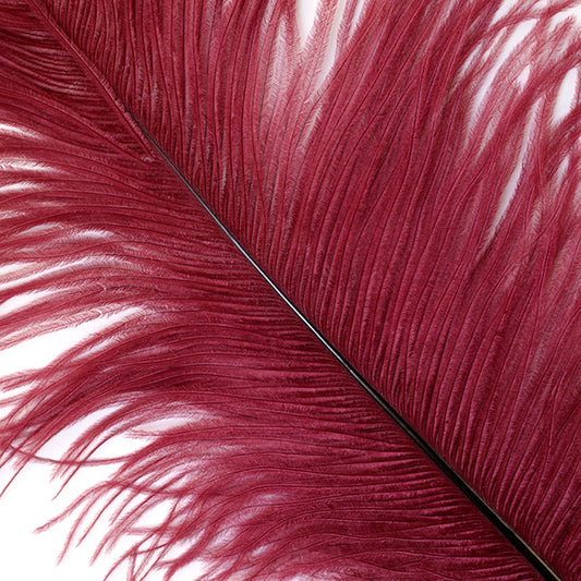 Bulk Ostrich Feathers-Damaged Drabs - Copper –  by