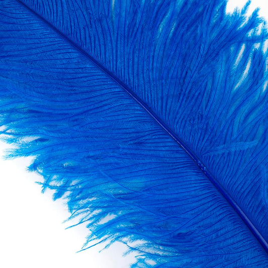 Large Ostrich Feathers - 24-30 Prime Femina Plumes - White –   by Zucker Feather Products, Inc.