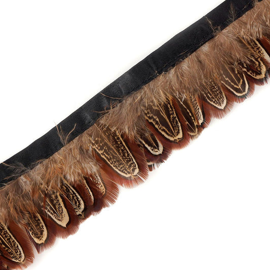 Natural Almond Ringneck Plumage  2-3 Inches Pheasant Feathers – Zucker  Feather Products, Inc.