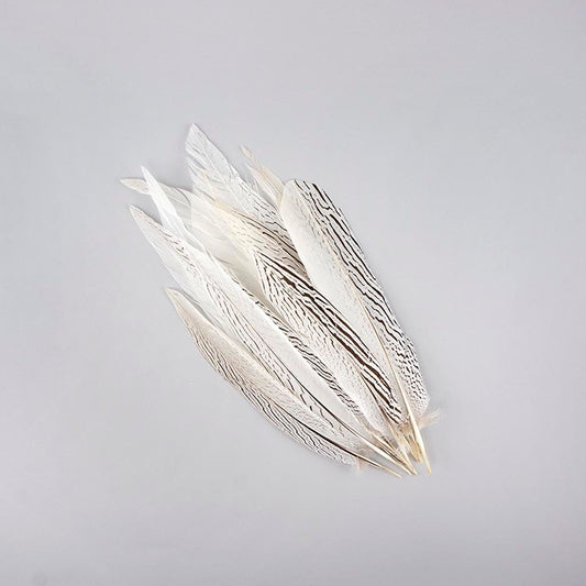 Silver Pheasant Tail Feathers, 30+ inches long, by the piece or