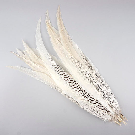 Silver Pheasant Tail Feathers, 30+ inches long, by the piece or