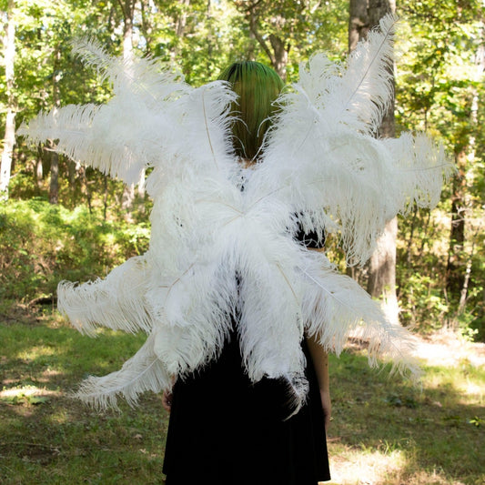 turkey tail feathers costume