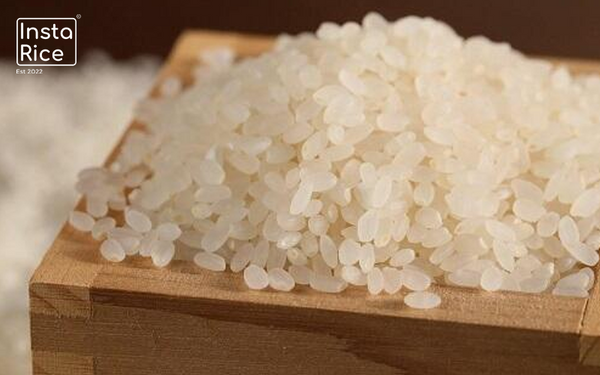 japonica-rice