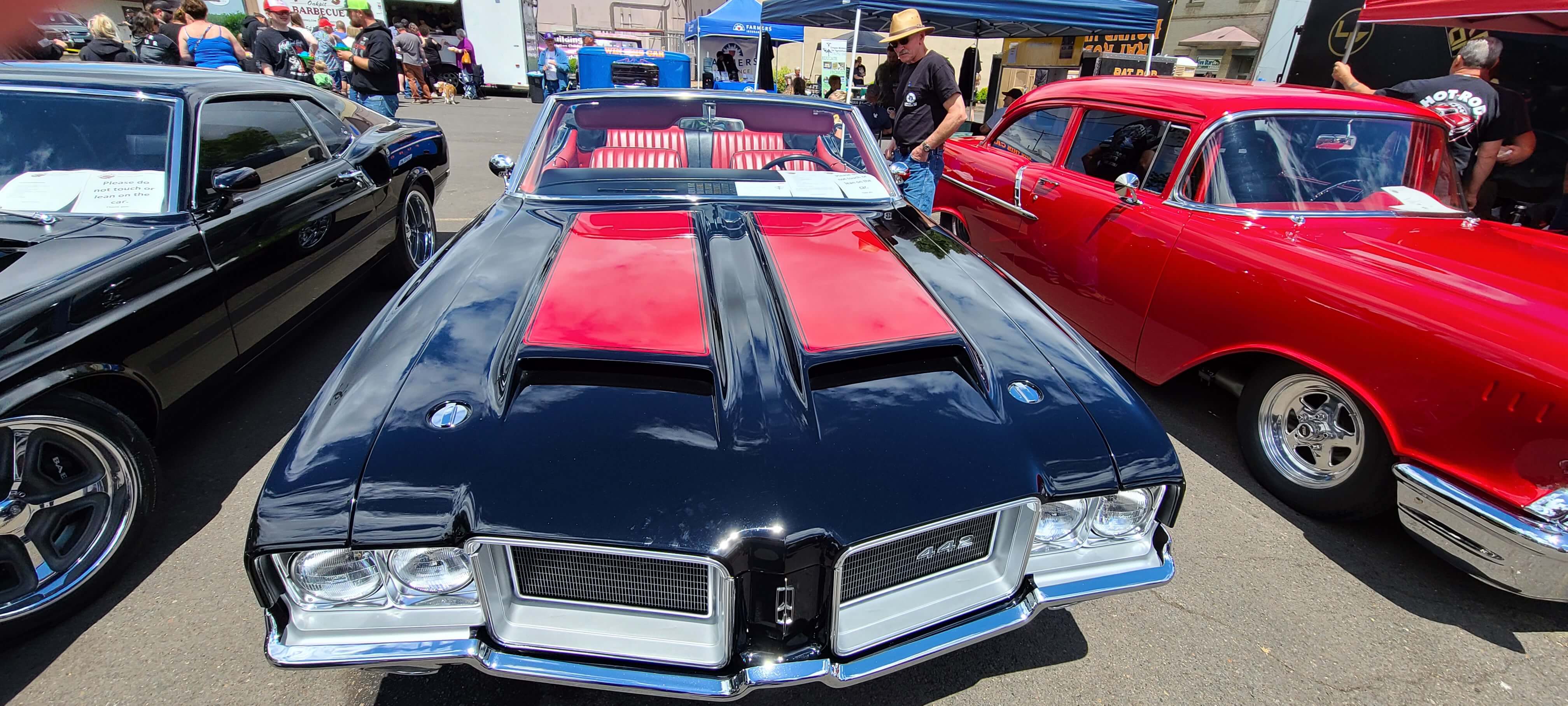 Michael Williamson's Cuda