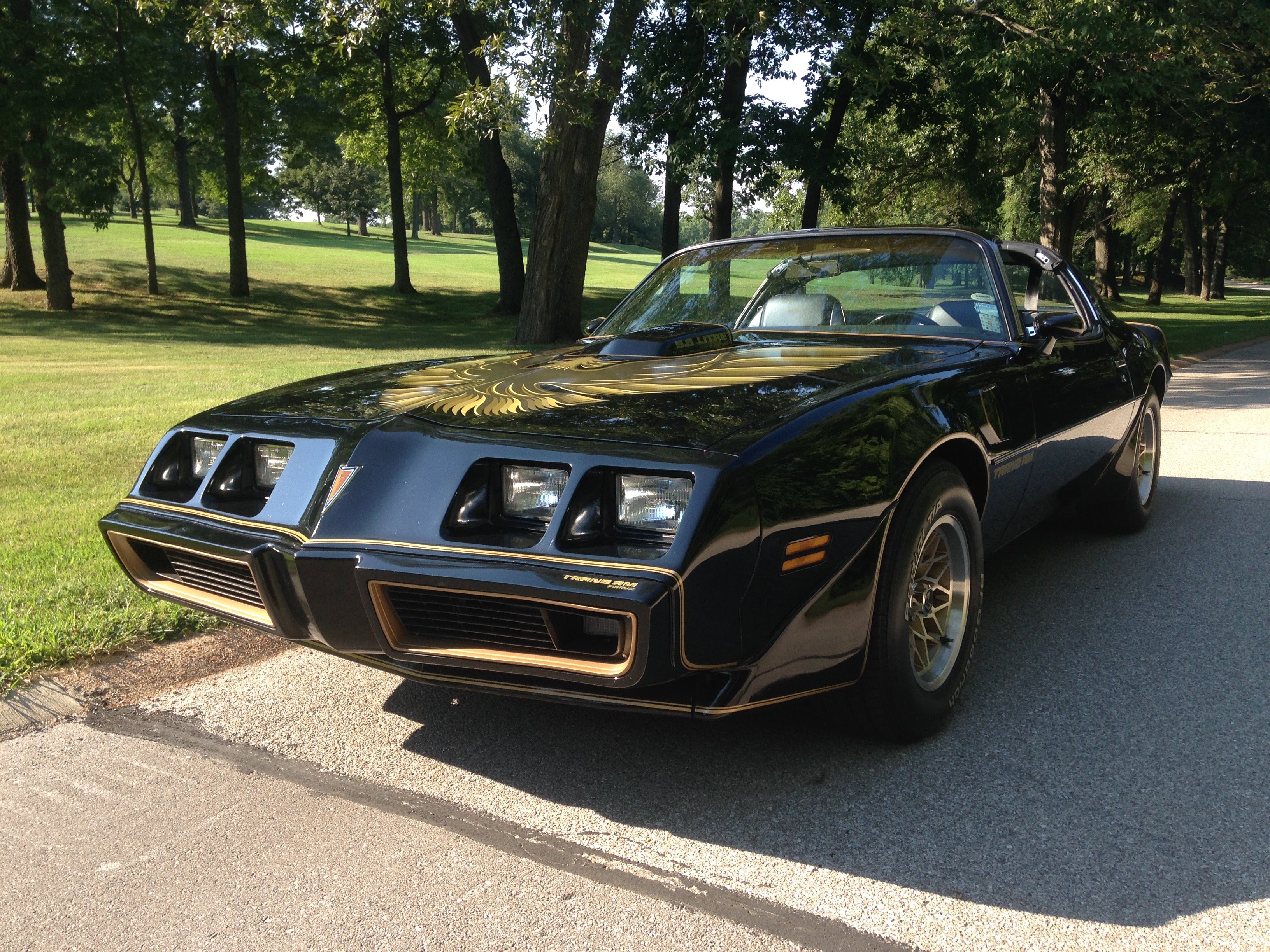 1979 Pontiac Trans Am (Special Edition Y-84)