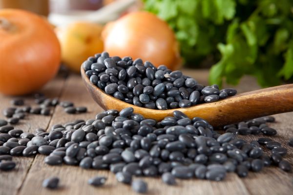 Black Beans For Hair Health | ISA Professional