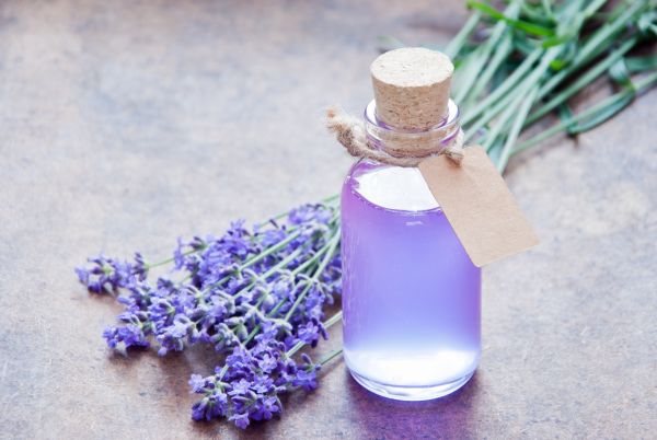 Lavender Essential Oil | ISA Professional