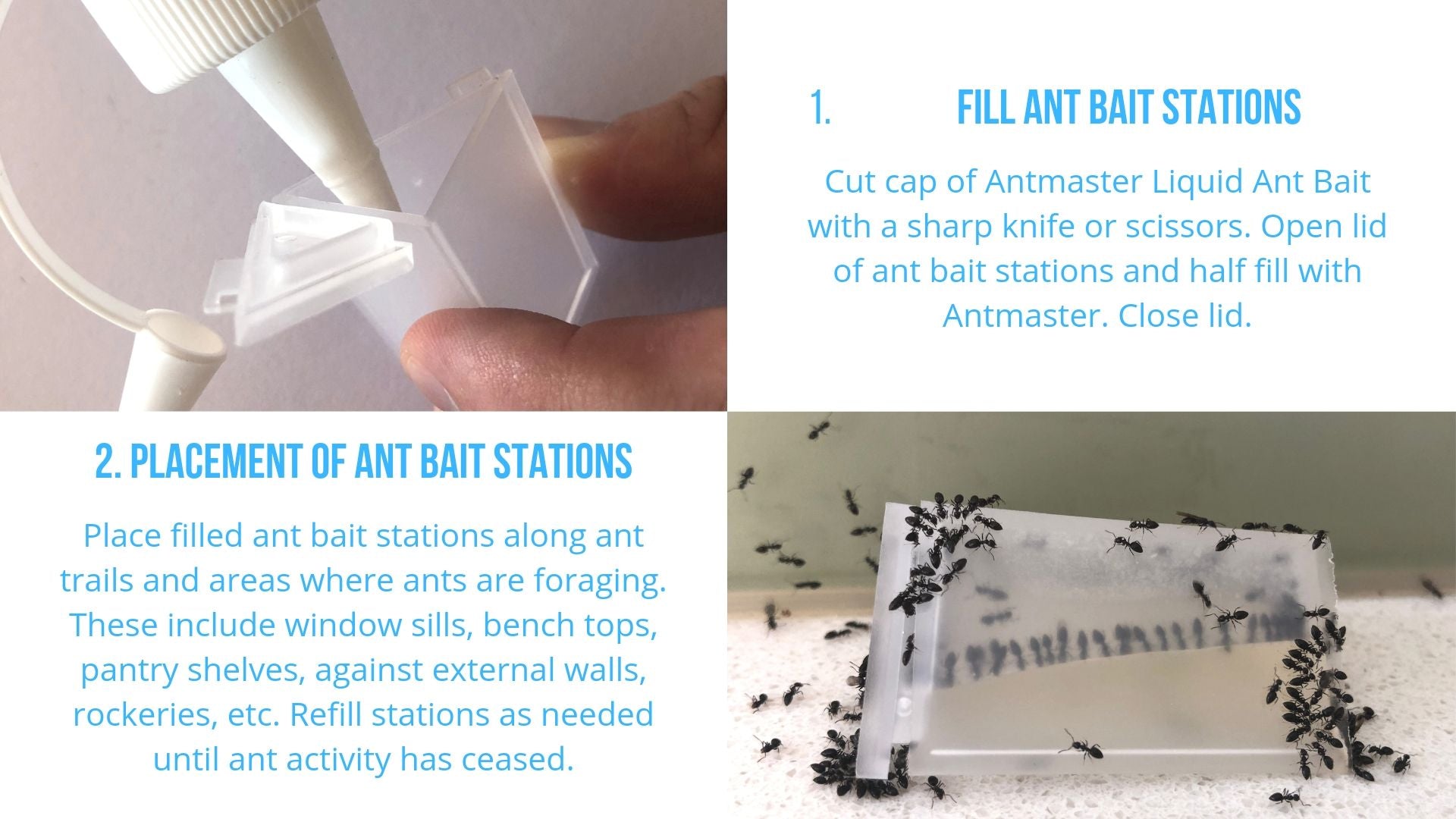 Black Ant Control Kit Instructions