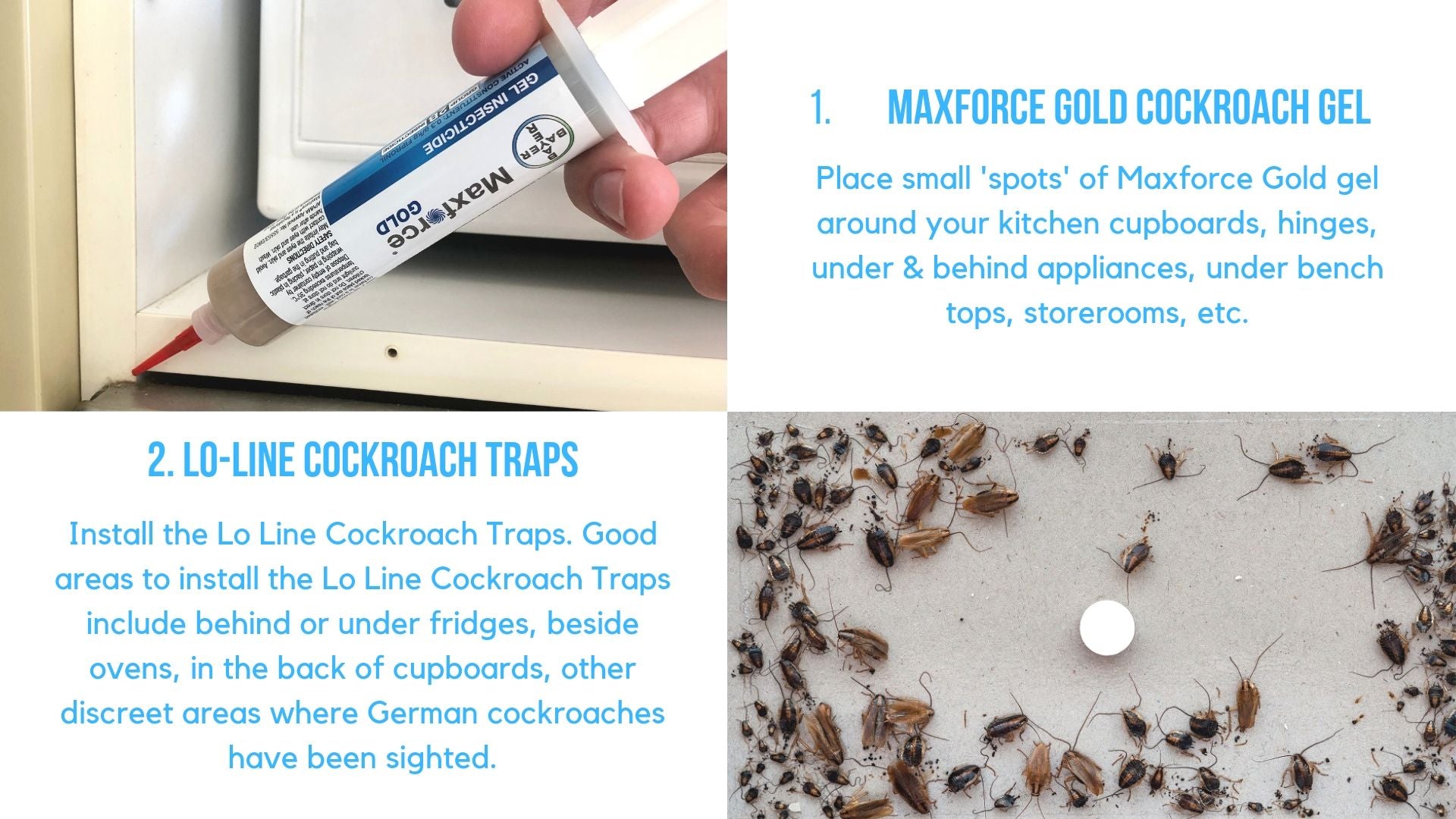 German Cockroach control kit instructions