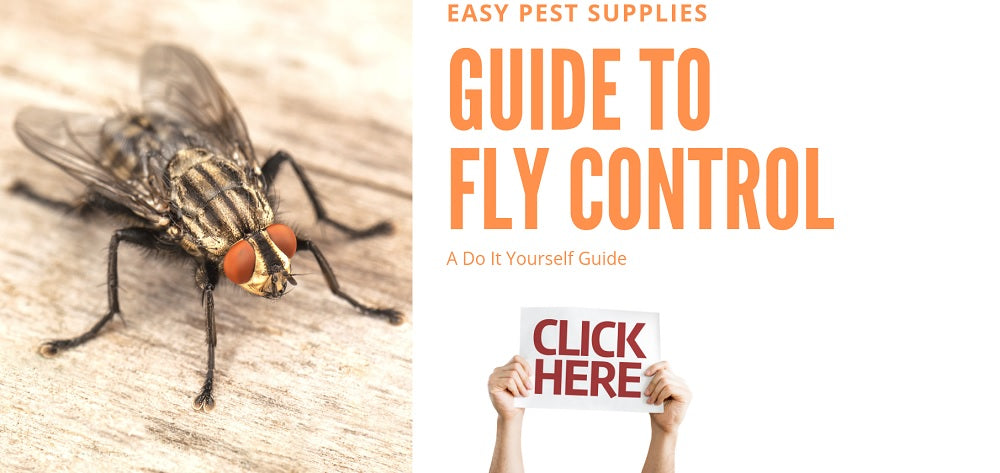 Get Rid of House Flies: House Fly Control Information
