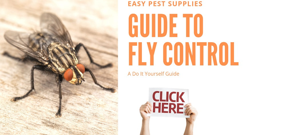 How to Get Rid Of Flies – Easypestsupplies