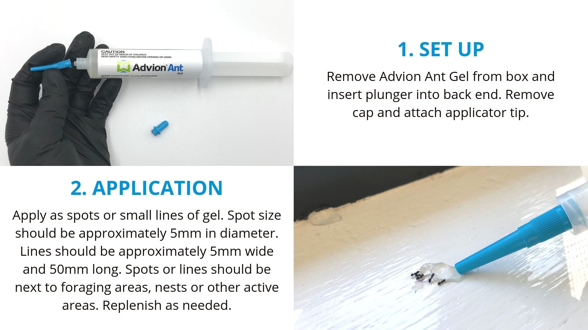 How to use Advion Ant Gel