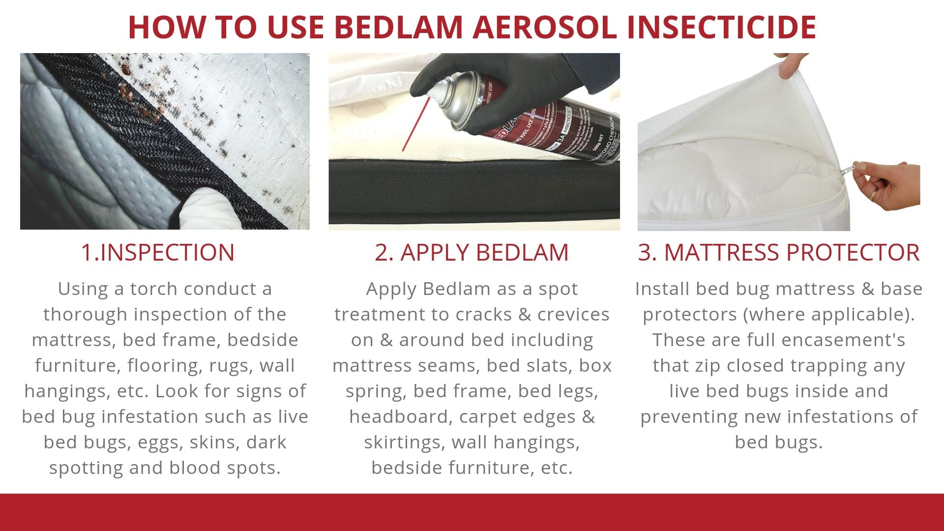 How to use Bedlam Aerosol Insecticide