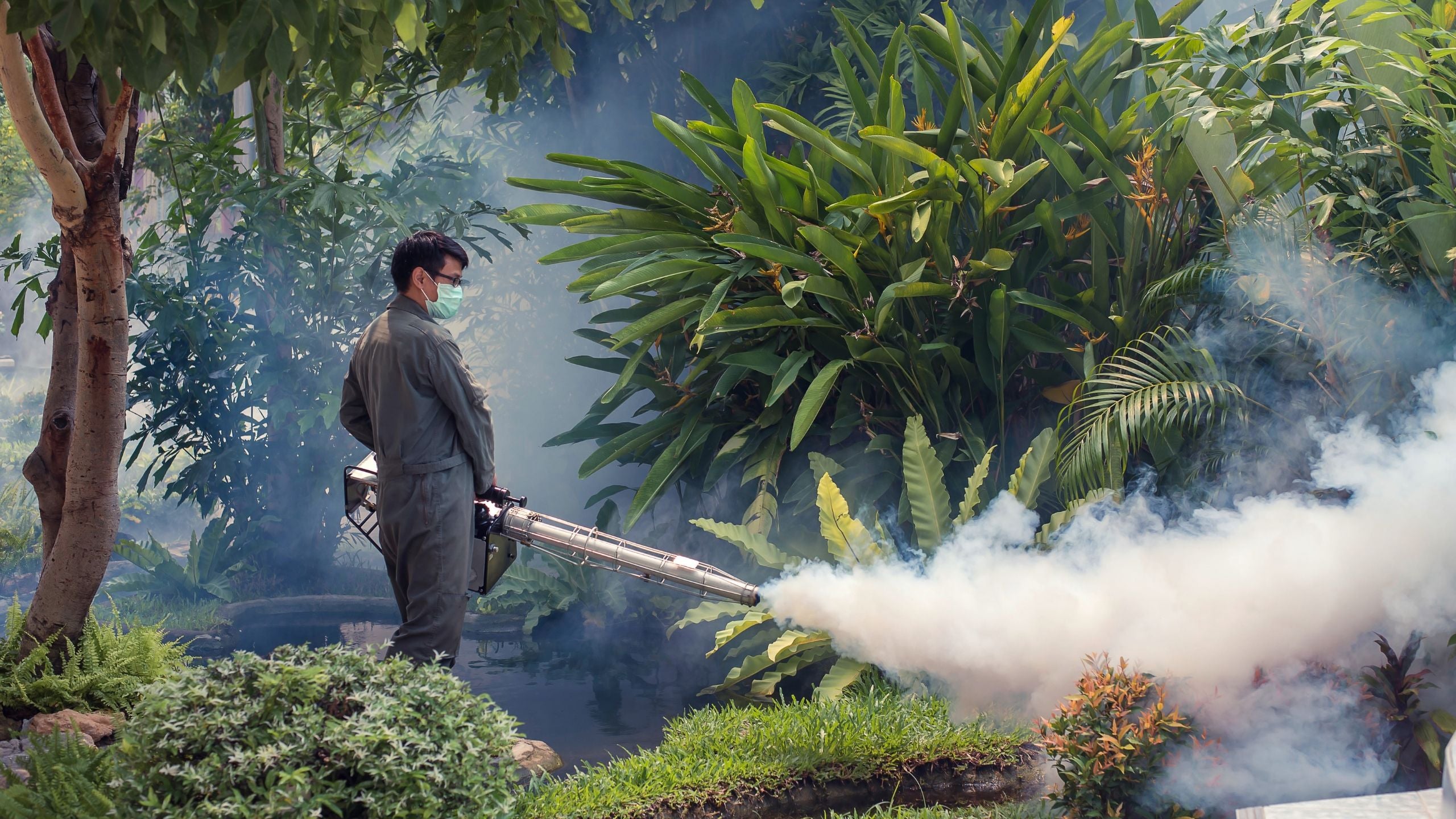 Chemical Mosquito Control Fogging