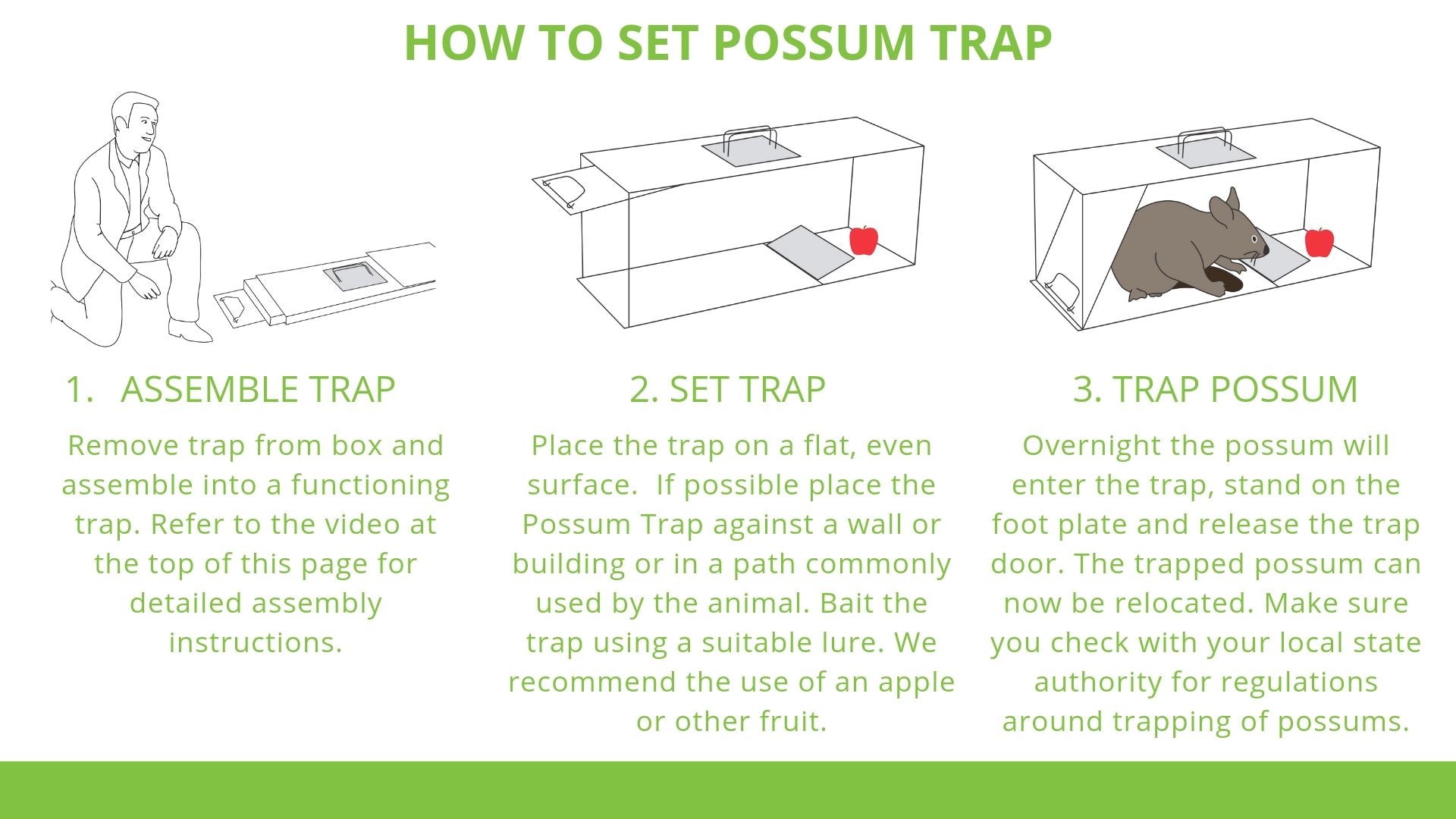 How to trap a possum