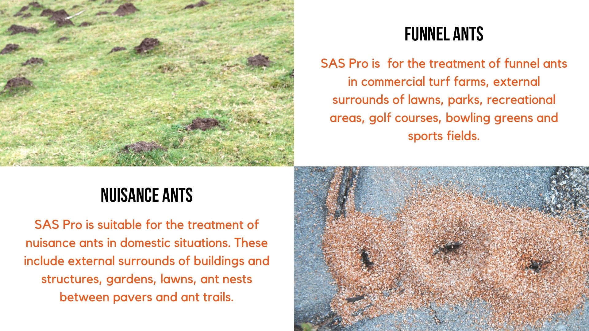 SAS Pro Fipronil Granules for ant control