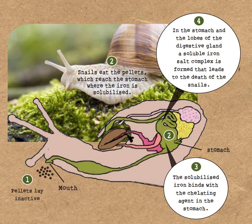 Protect Us Snail & Slug Bait How does it work
