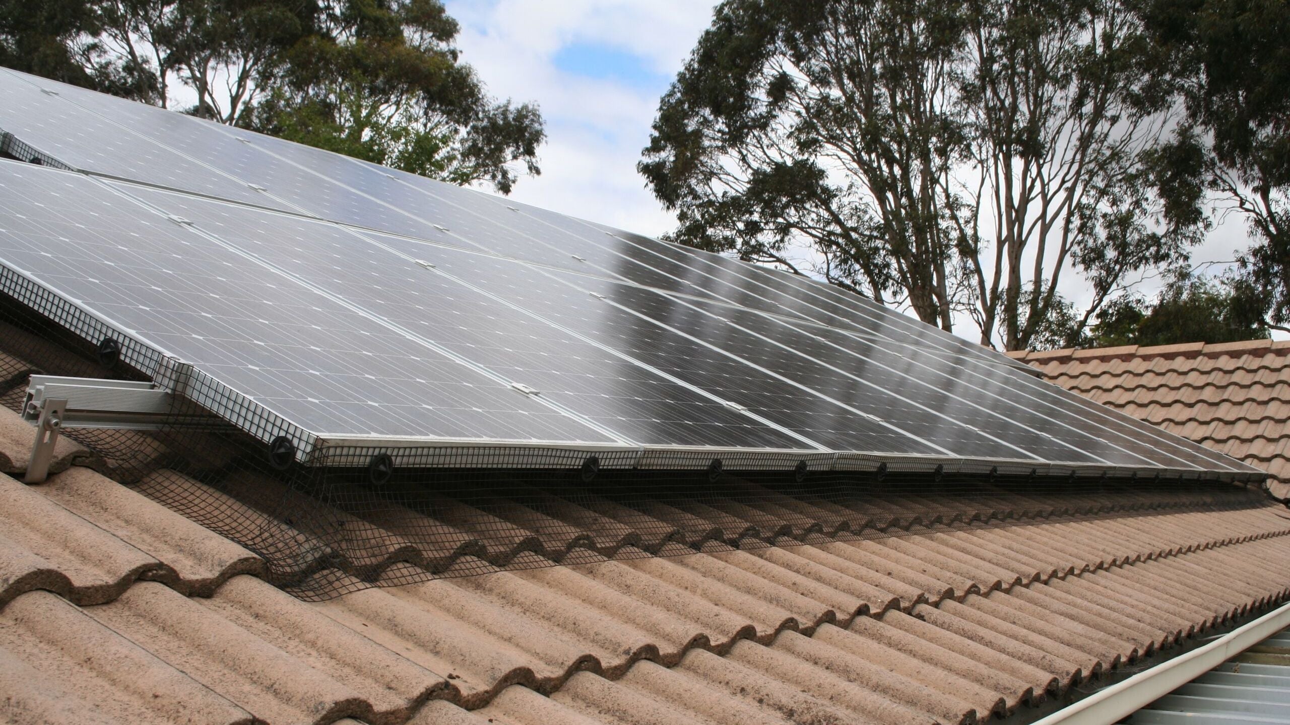 Solar Panel Bird Mesh Installed