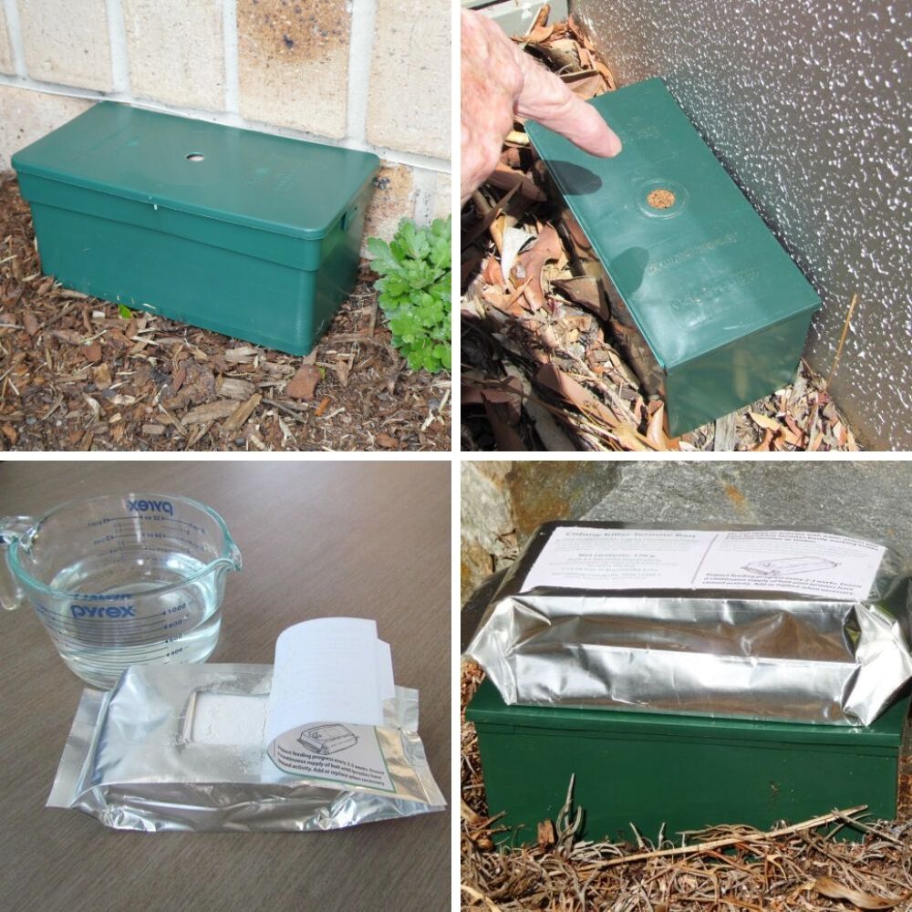 How to add termite bait to termite traps