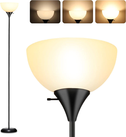 Standing Floor Lamp with Pull Chain and Drum Shade