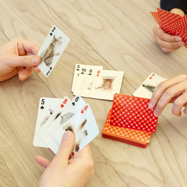 3D Cats Playing Cards